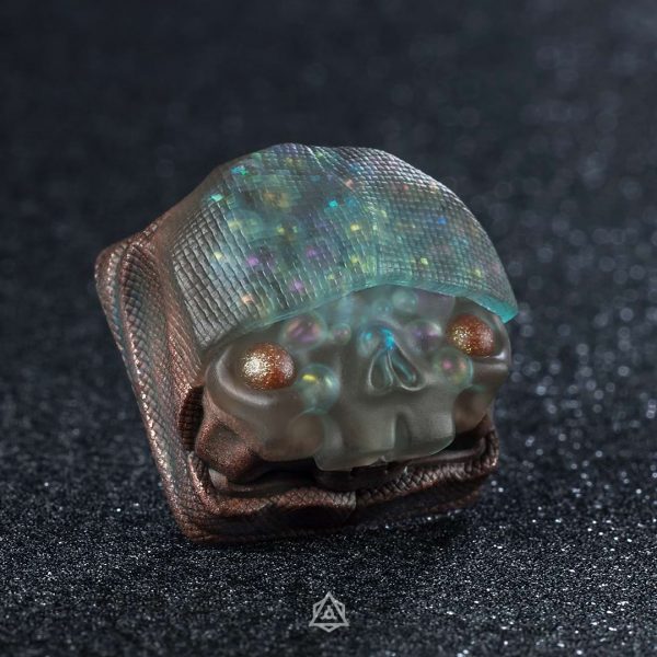 Coppernicus - Astrolabe