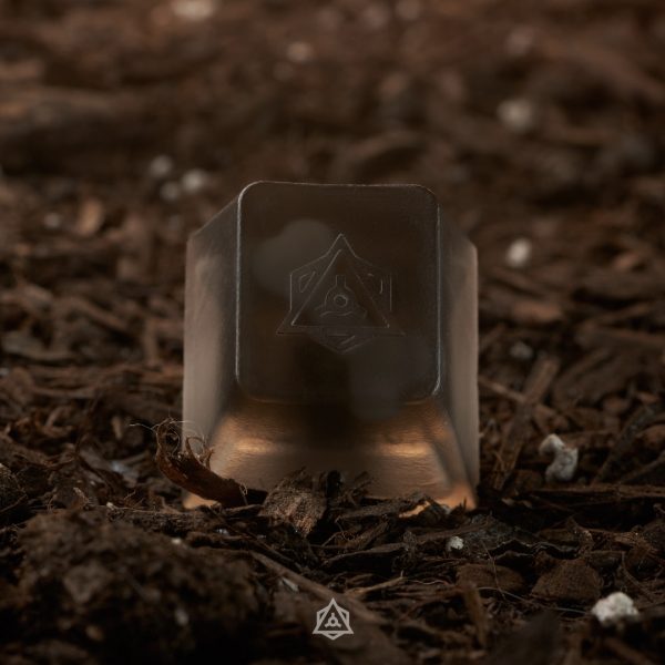 Spooky Nights - Logo Cap - Throw Me a Bone