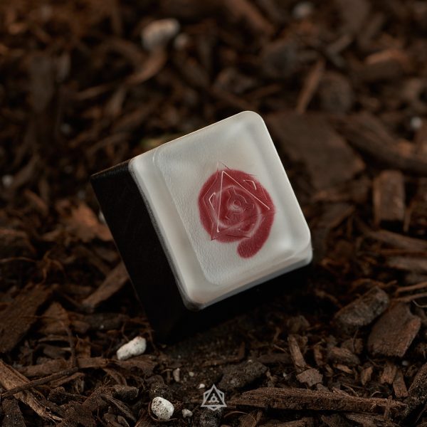 Spooky Nights - Logo Cap - Let's Play a Game