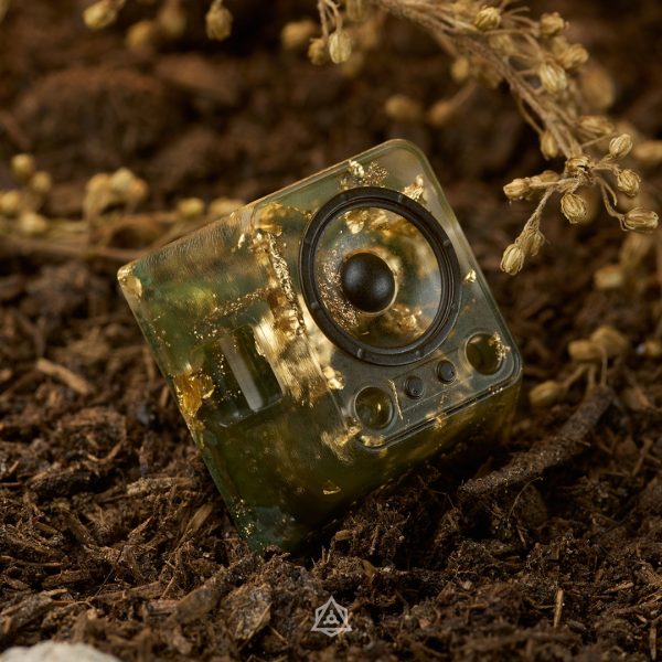 Forbidden Forest - Blastious