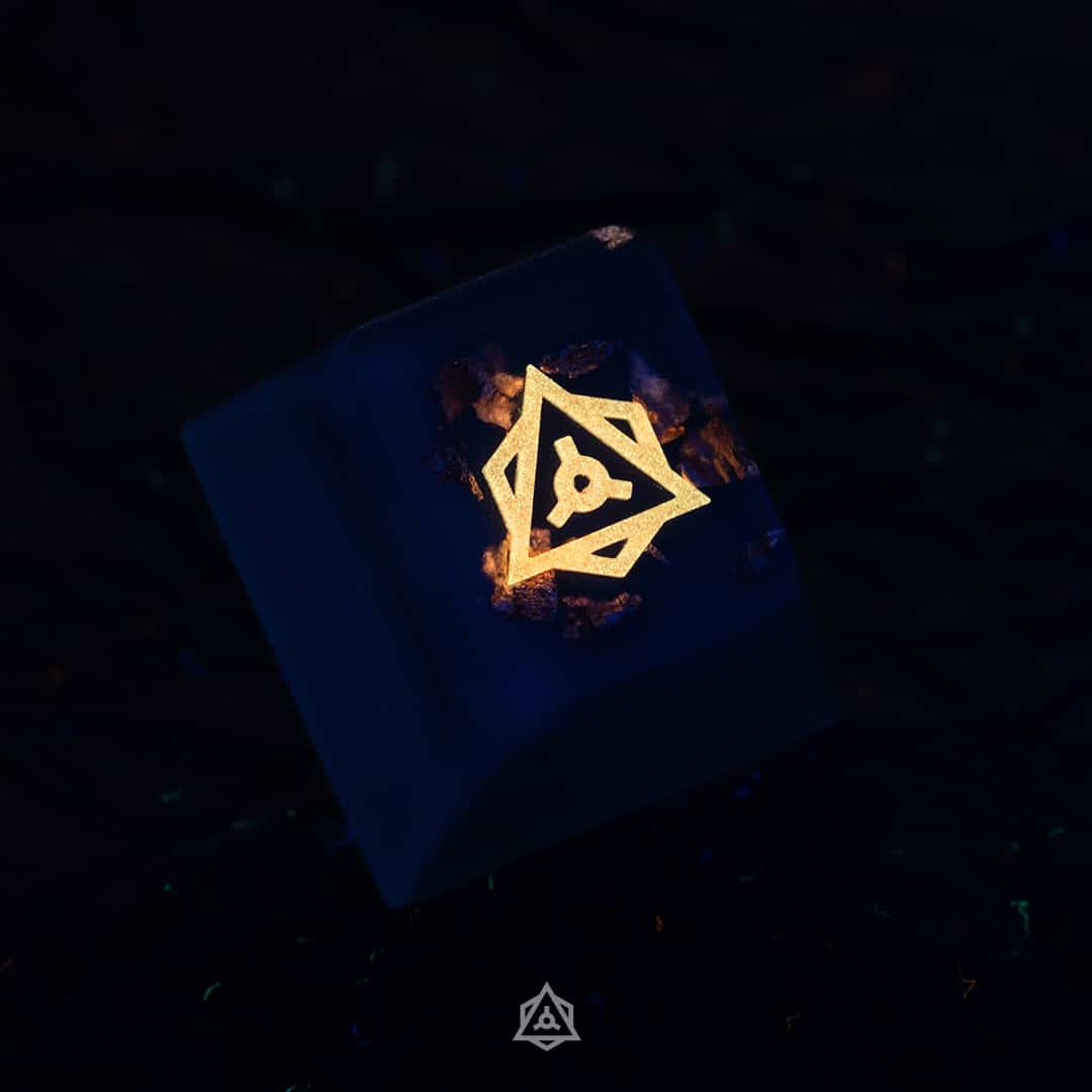 Radiant Reef - Pavona - Image 2