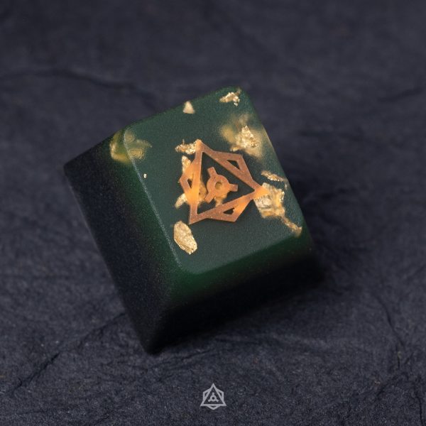 Radiant Reef - Turbinaria