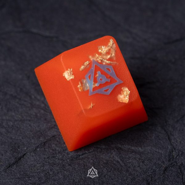Radiant Reef - Ricordea